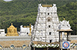 Tirupati laddoo row reaches top court for Protecting religious rights